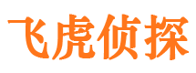 甘洛市调查公司